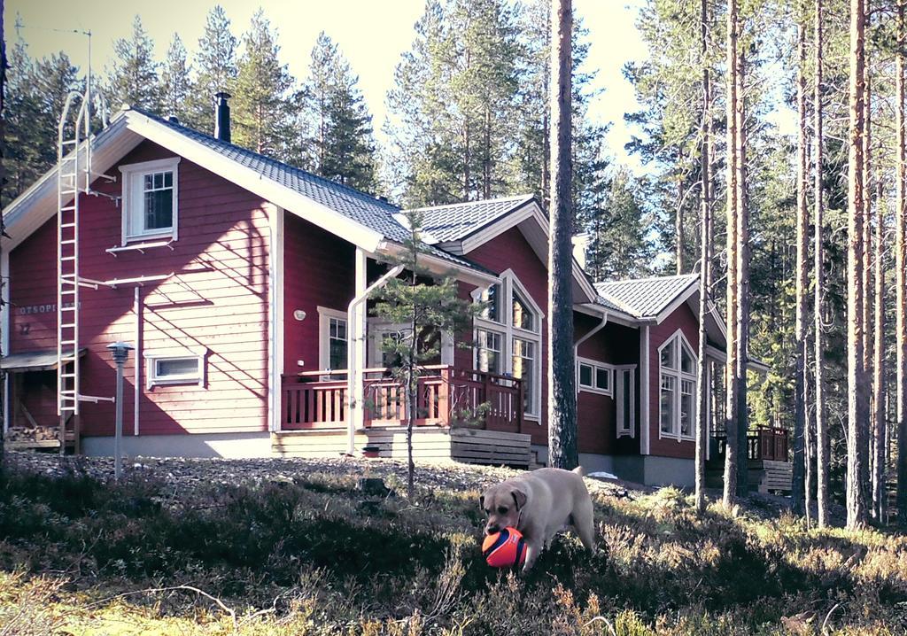 Otsopirtti: Maria And Otso Apartments Kolinkylä Rum bild
